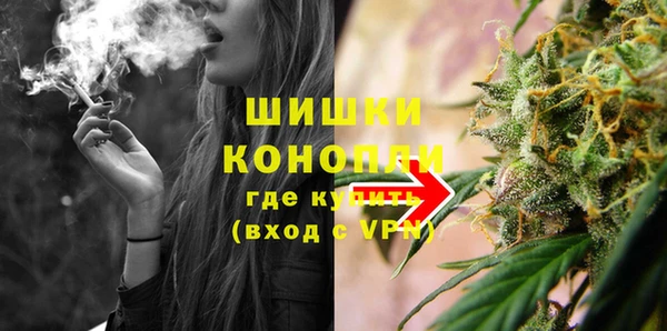 PSILOCYBIN Балабаново