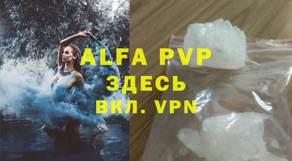 PSILOCYBIN Балабаново
