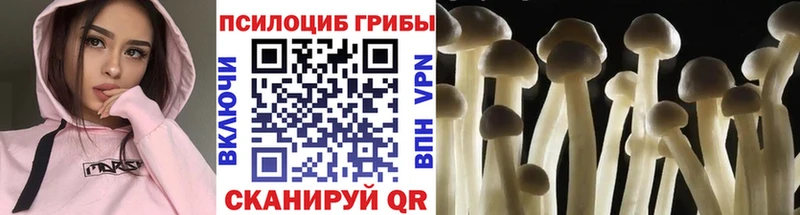 OMG сайт  даркнет сайт  Николаевск-на-Амуре  Псилоцибиновые грибы ЛСД 